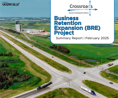 Business_Retention_Expansion_(BRE)_Project